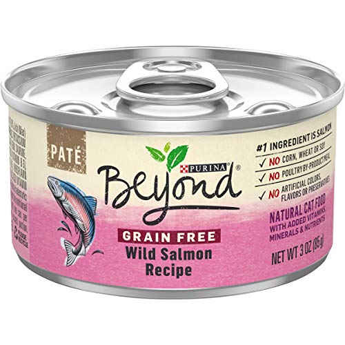 Purina Beyond Wild Salmon Grain-Free Pâté (12-pack)