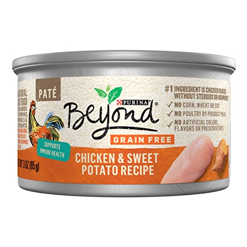 Purina Beyond Chicken & Sweet Potato Pâté (12-pack)